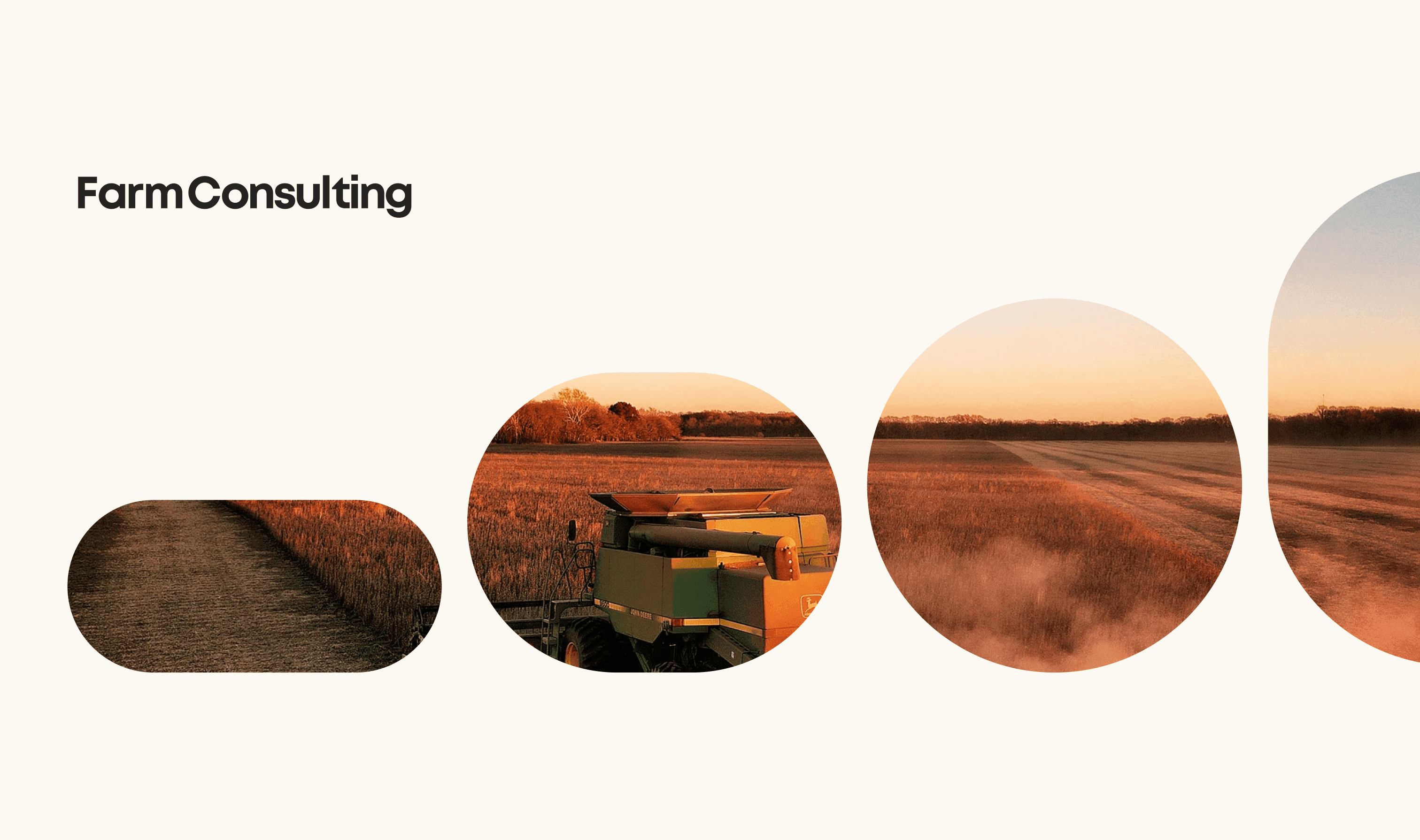 Identity System & Website Design – image 2