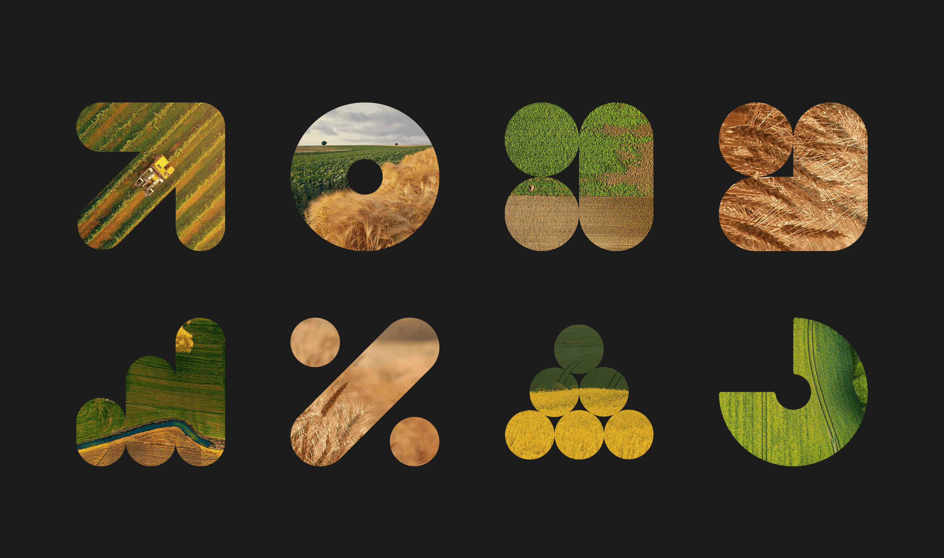 Identity System & Website Design – image 3