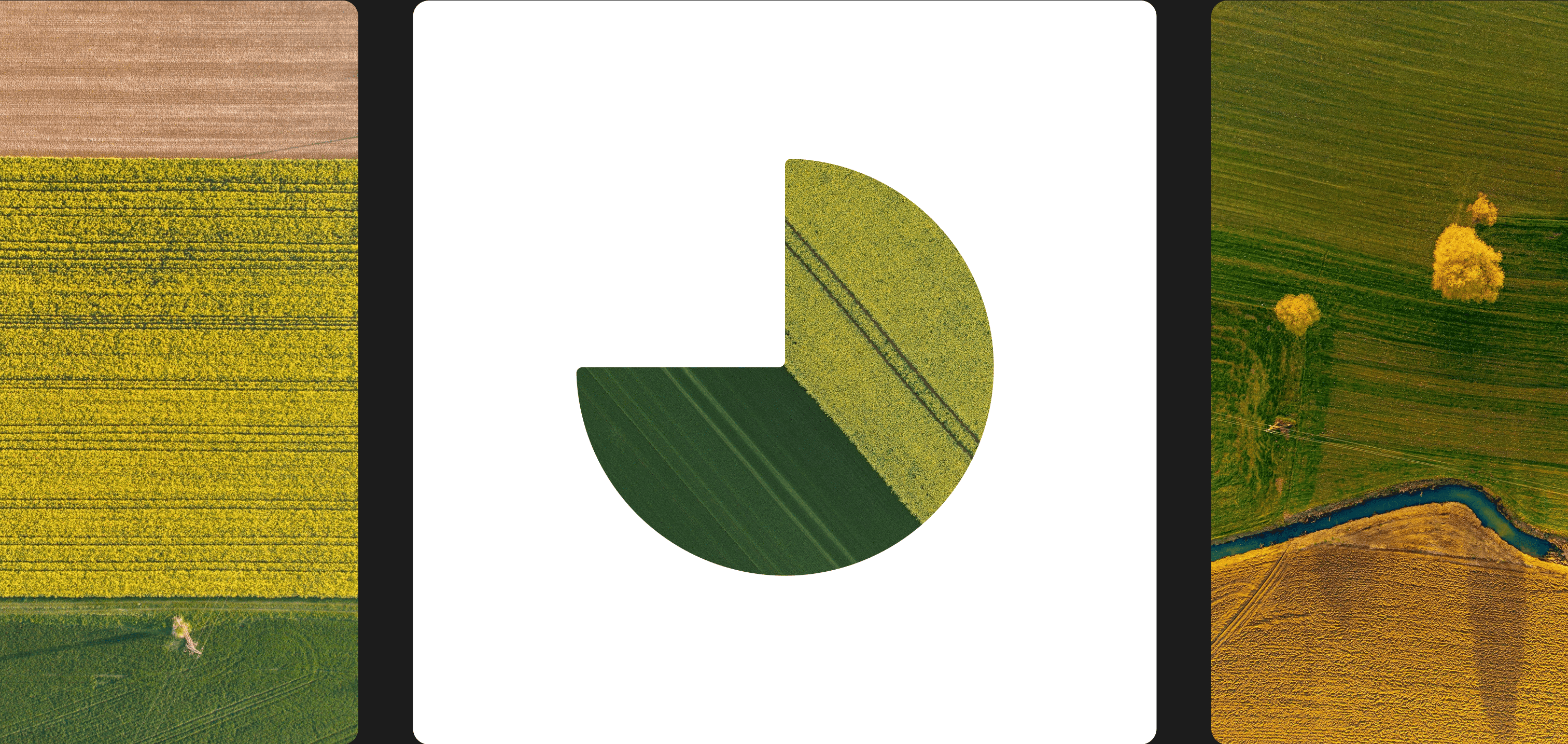 Identity System & Website Design – image 4