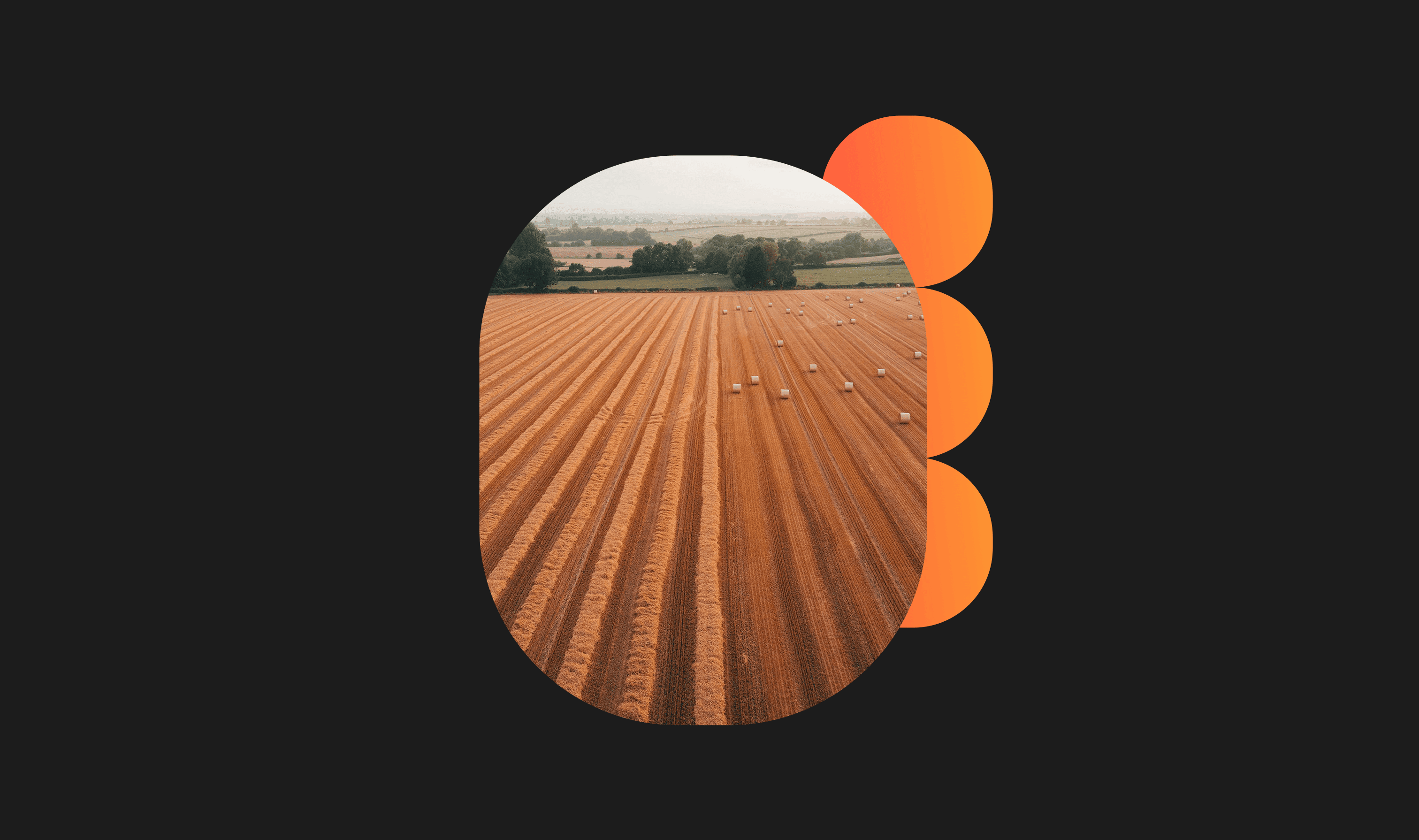 Identity System & Website Design – image 6