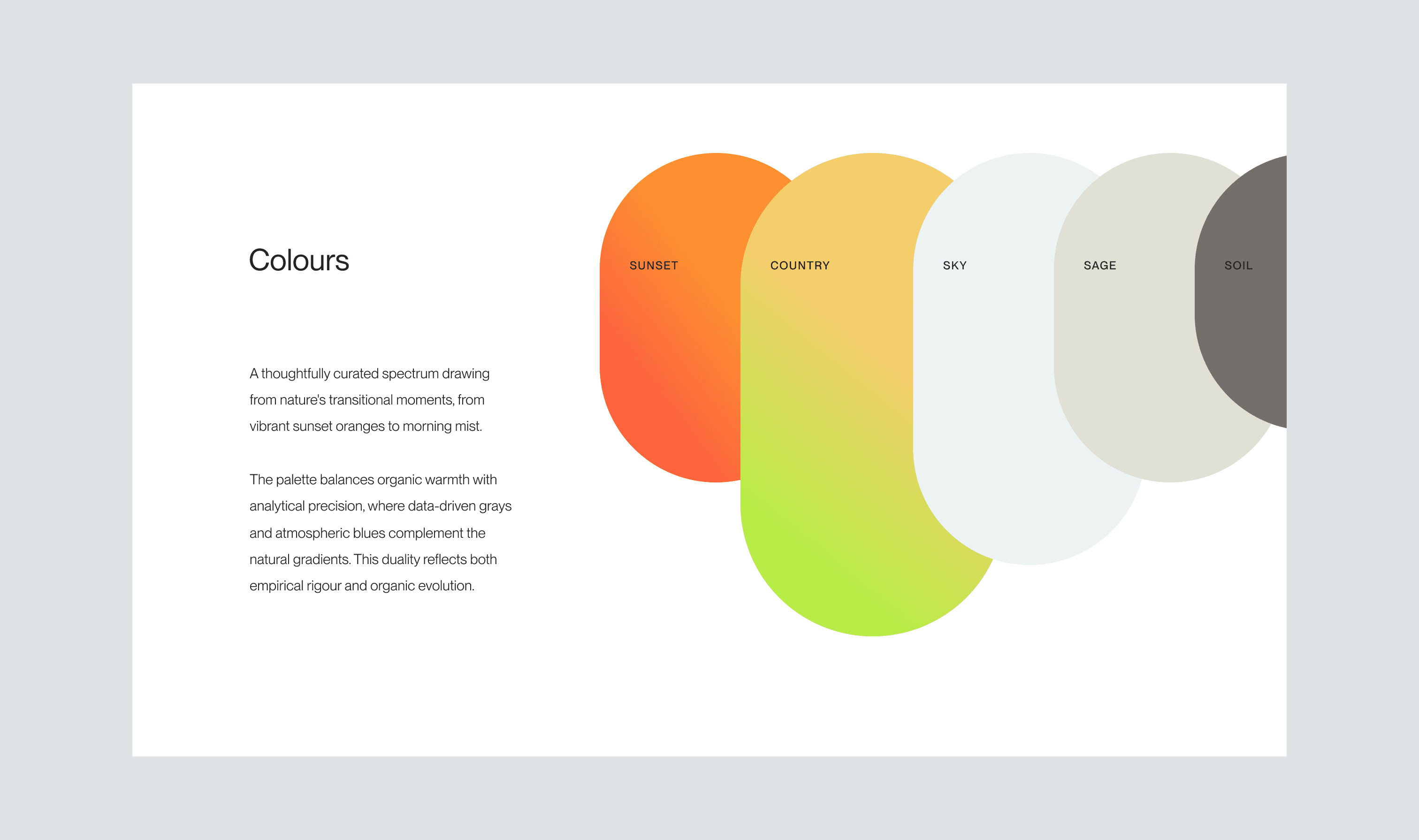 Identity System & Website Design – image 8