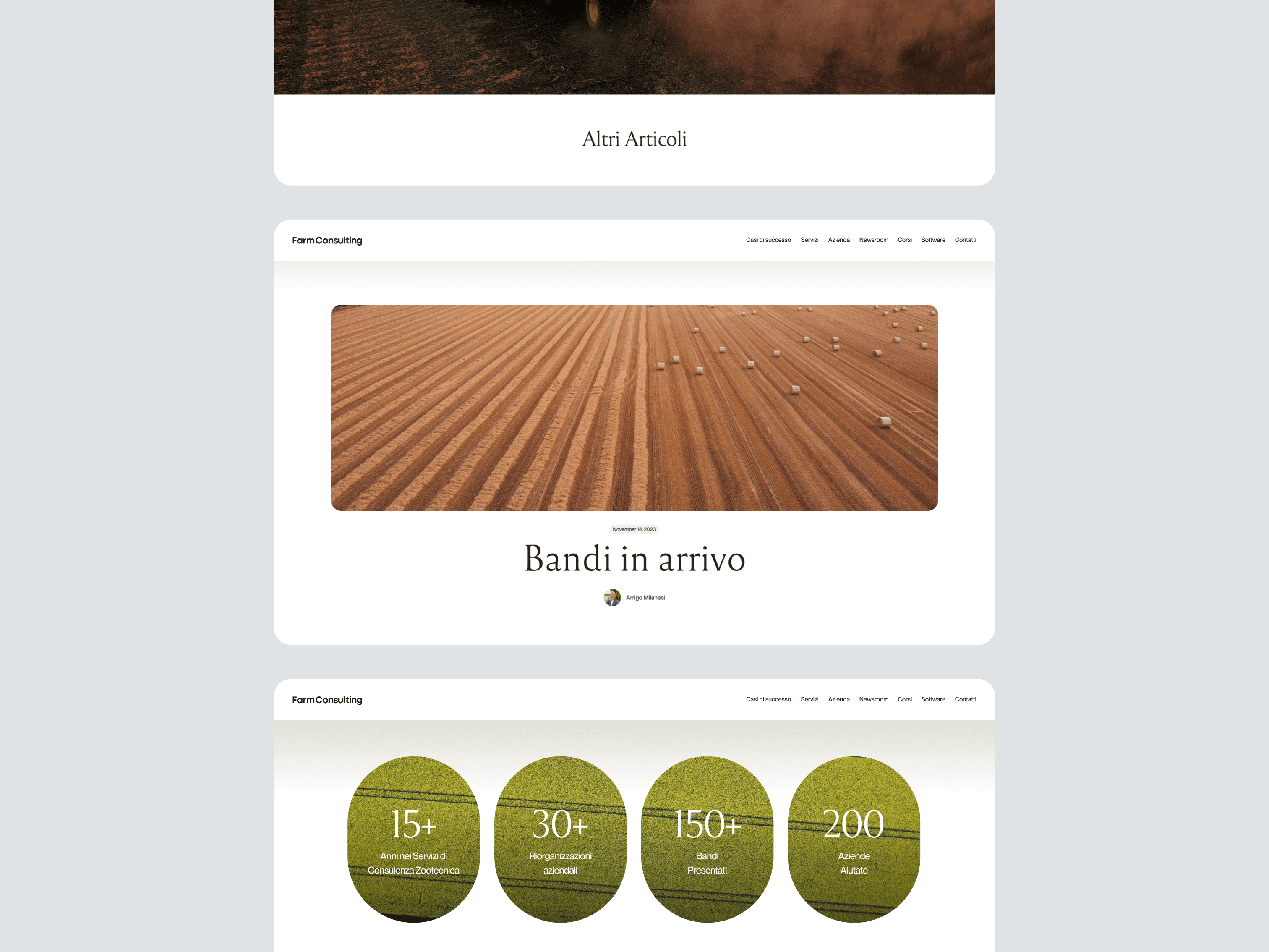 Identity System & Website Design – image 10
