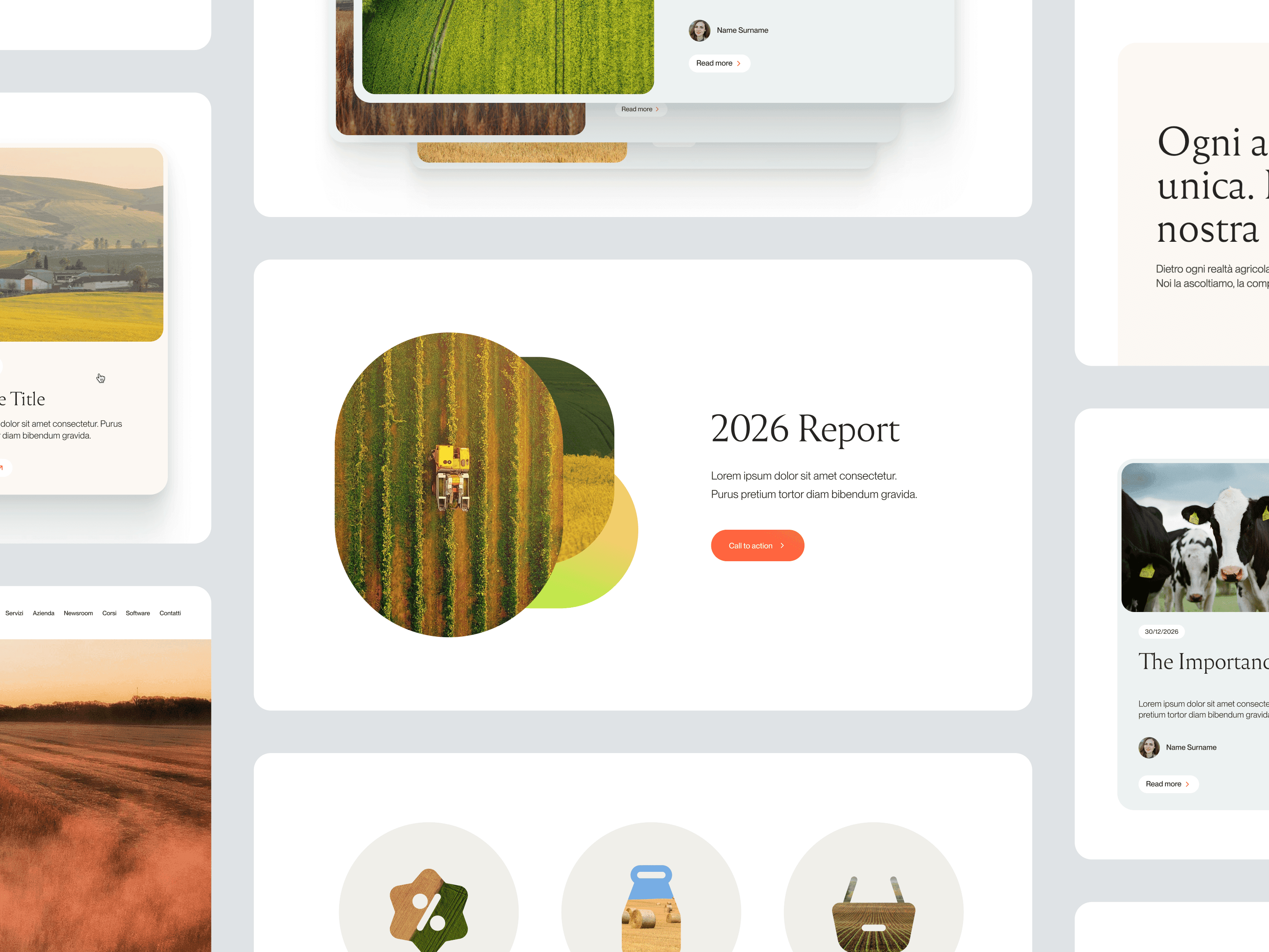 Identity System & Website Design – image 11